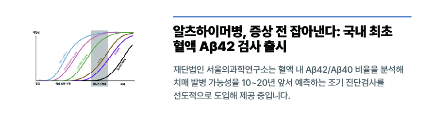 설명 텍스트