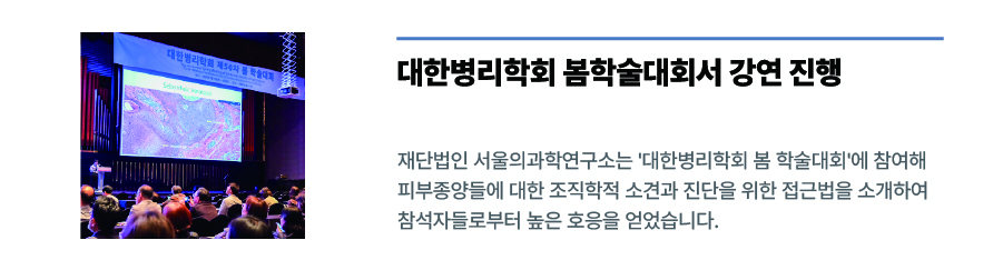 설명 텍스트