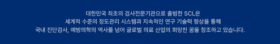 설명 텍스트