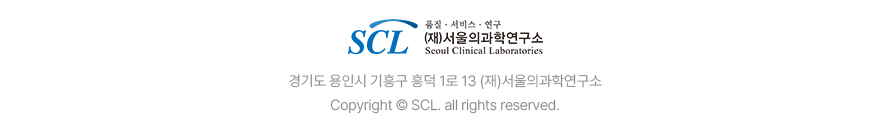 설명 텍스트